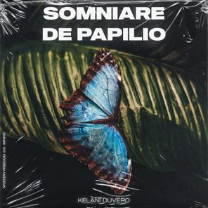 Somniare De Papilio