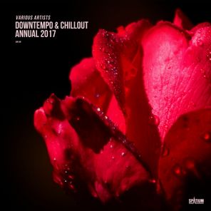 Downtempo & Chillout Annual 2017