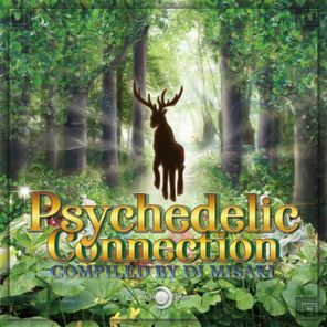 Psychedelic Connection (Compiled by DJ Misaki)