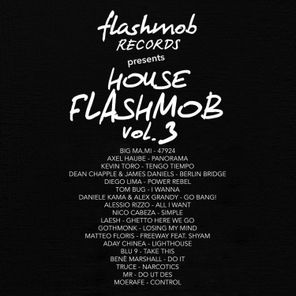 House Flashmob, Vol. 3