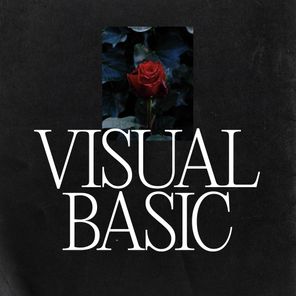 Visual Basic