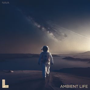 Ambient Life