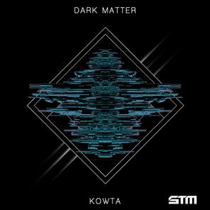 Dark Matter