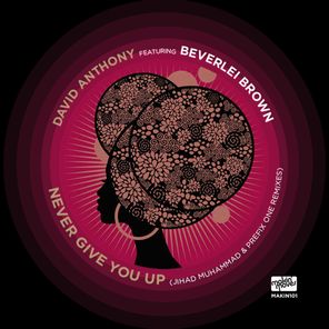 Never Give You Up (Remixes)