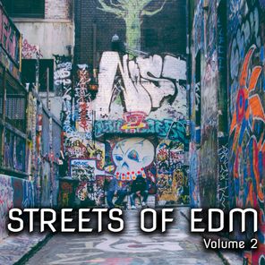 Streets of EDM, Vol. 2