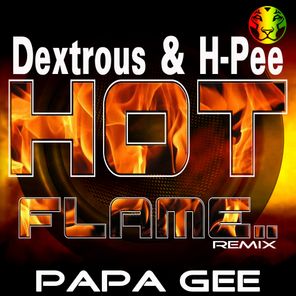 Hot Flame Remix