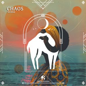 Chaos