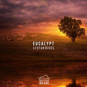 Eucalypt