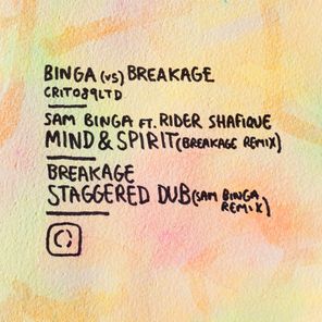 Binga vs Breakage