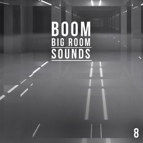 Boom, Vol. 8 - Big Room Sounds