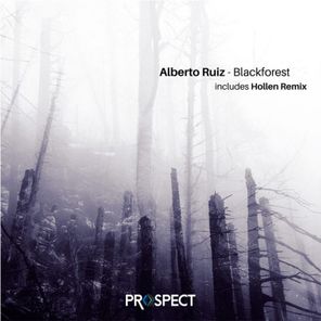 Blackforest