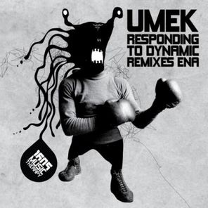 Responding to Dynamic (Remixes Ena)