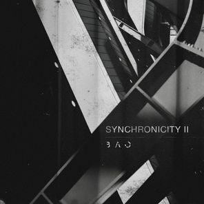Synchronicity II