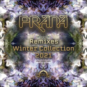 Winter Collection 2021 (Remixes)