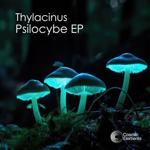 Psilocybe EP