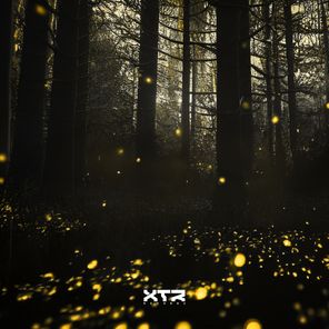 Tribute to Fireflies