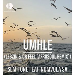 Umhle (Lebzin & Dr Feel AfroSoul Remix)