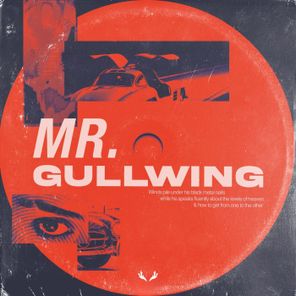 Mr. Gullwing