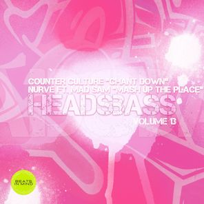 HEADSBASS VOLUME 13 - PART THREE