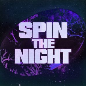 Spin the Night (Satellite)