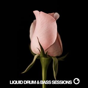 Liquid Drum & Bass Sessions Vol 12