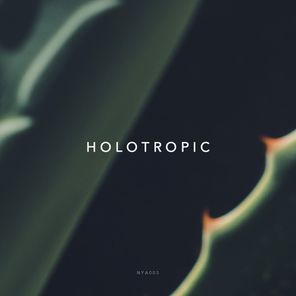 Holotropic