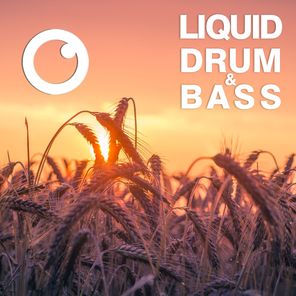 Liquid Drum & Bass Sessions #48