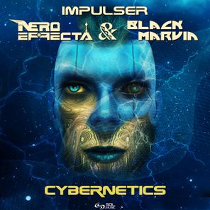 Cybernetics