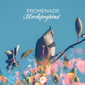 Mockingbird