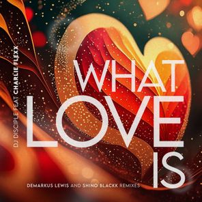 What Love Is... (DL Remix)