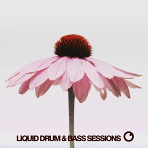 Liquid Drum & Bass Sessions 2020 Vol 10
