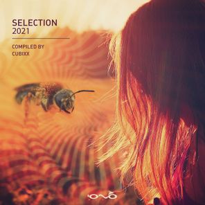 Selection 2021 (Compiled by Cubixx)