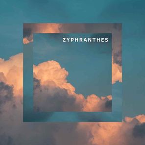 Zyphranthes