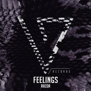 Feelings