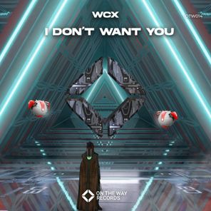 I Don't Want You (Extended Mix)