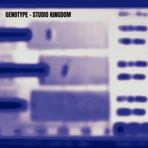 Studio Kingdom