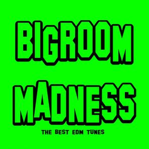 Bigroom Madness (The Best EDM Tunes)