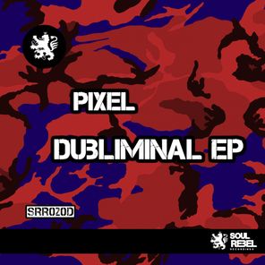 Dubliminal EP