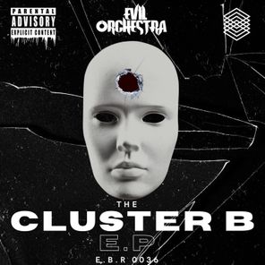 The CLUSTER B