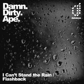 I Can't Stand the Rain / Flashback