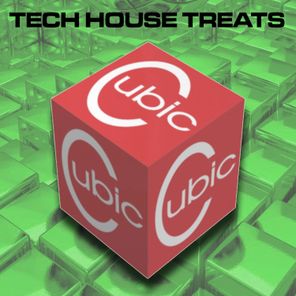 Cubic Tech House Treats, Vol. 16