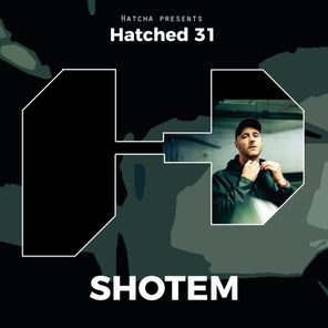 Hatched 31