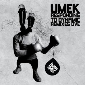 Responding to Dynamic (Remixes Dve)