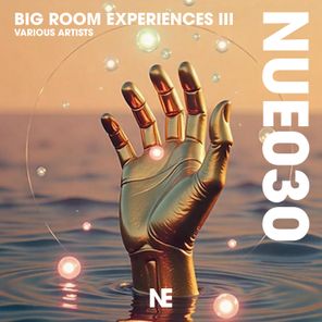 Big Room Experiences III