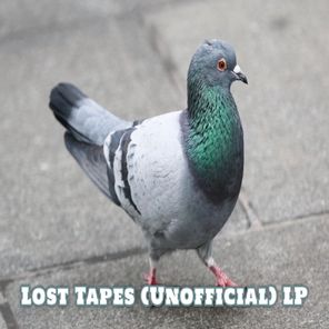 Lost Tapes (Unofficial) LP