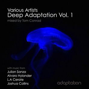 Deep Adaptation, Vol. 1