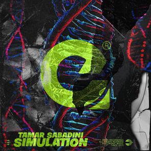 Simulation