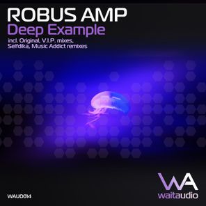 Robus Amp - Deep Example