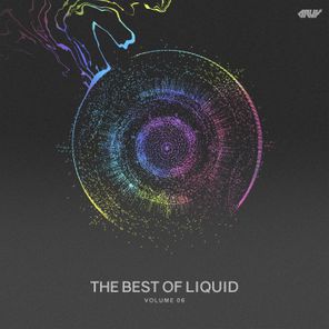 The Best of Liquid, Vol.06