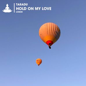 Hold on My Love